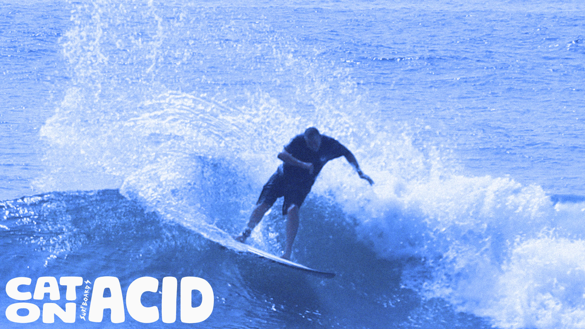 About Cat on Acid Seth Matson Surfing